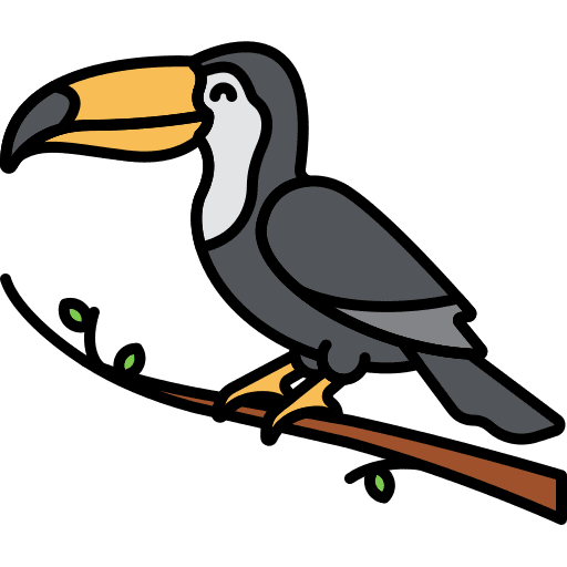 Toucan toucan bird animals icon