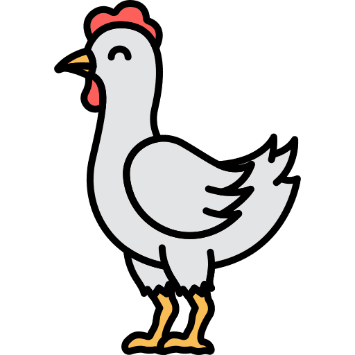 Chicken bird farm animals icon