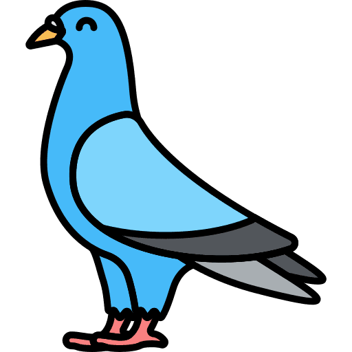 Pigeon bird animals wings icon