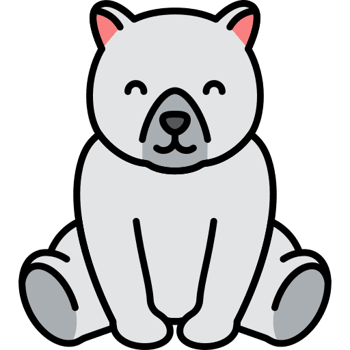 Polar bear animal kingdom polar bear animal icon