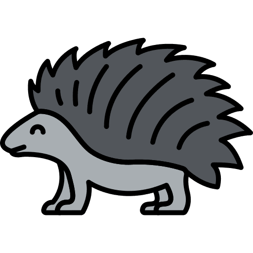 Porcupine animals animal porcupine icon