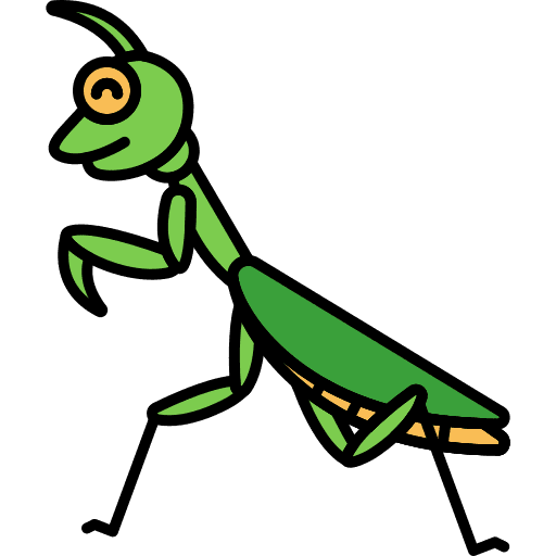 Praying mantis praying mantis bugs beetle icon