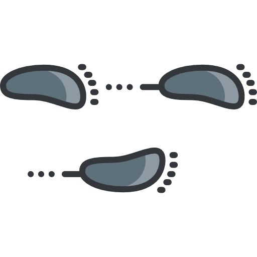 Footprints nintendo gaming pokemon icon