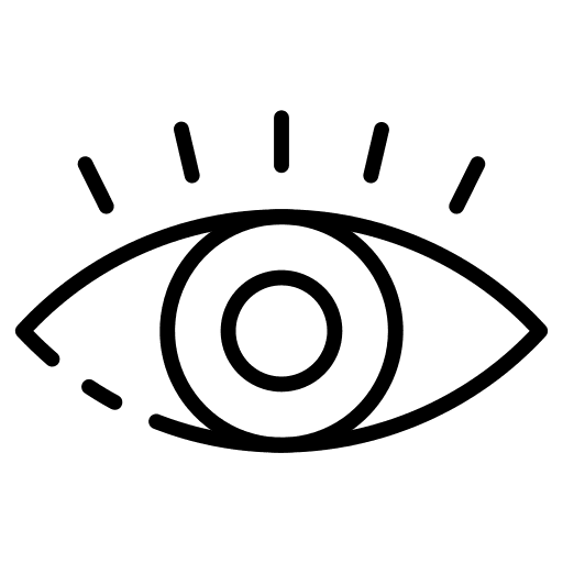 Eye sight optic eye icon