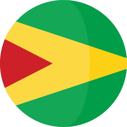 Guyana flags guyana country icon