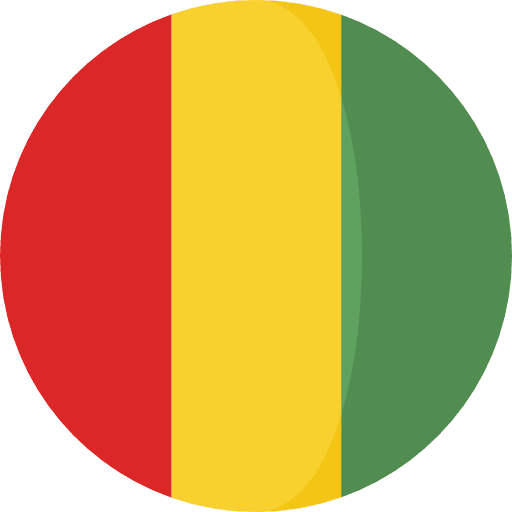 Guinea world flags flag icon