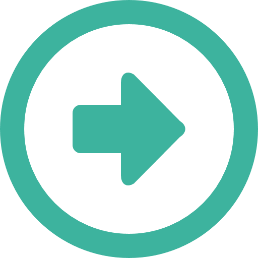 Next directional multimedia option skip icon