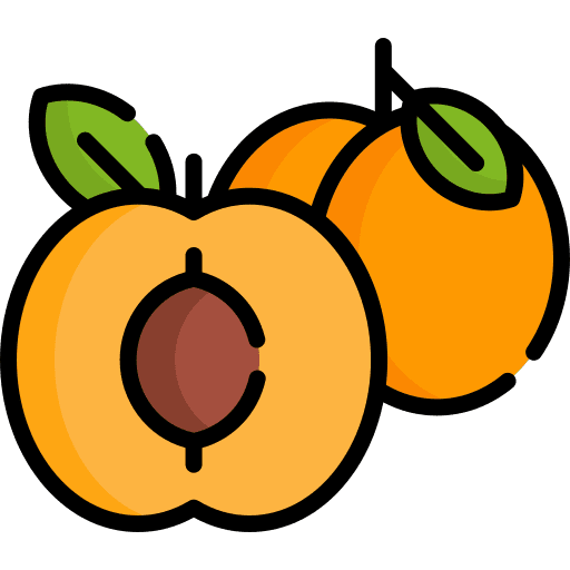 Apricot apricot vegetarian organic icon Apricot apricot vegetarian organic icon