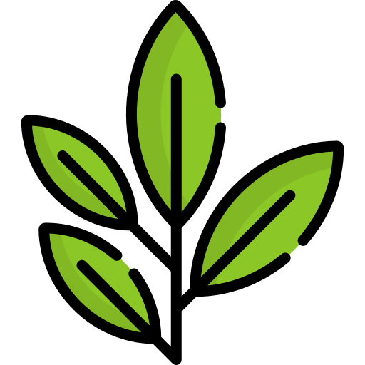 Green tea nature sprout scent icon Green tea nature sprout scent icon