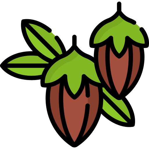 Jojoba nature dessert plant icon Jojoba nature dessert plant icon