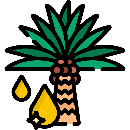 Palm oil botanical nature tree icon Palm oil botanical nature tree icon