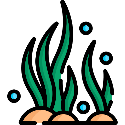Seaweed marine algae seaweed icon Seaweed marine algae seaweed icon
