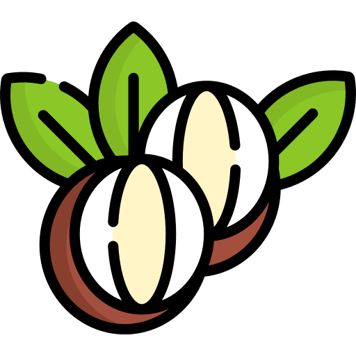 Shea butter plant nature shea butter icon Shea butter plant nature shea butter icon