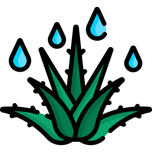 Aloe vera nature leaf healthcare and medical icon Aloe vera nature leaf healthcare and medical icon
