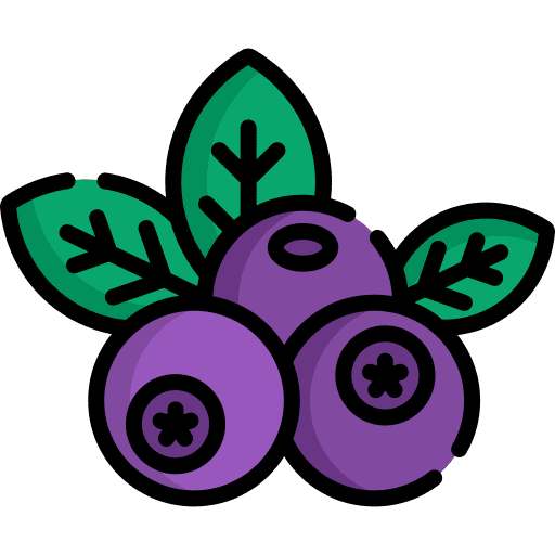 Blueberry healthy food nature fruit icon Blueberry healthy food nature fruit icon