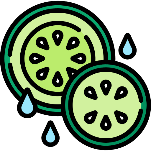 Cucumber food and restaurant healthy food cucumber icon Cucumber food and restaurant healthy food cucumber icon