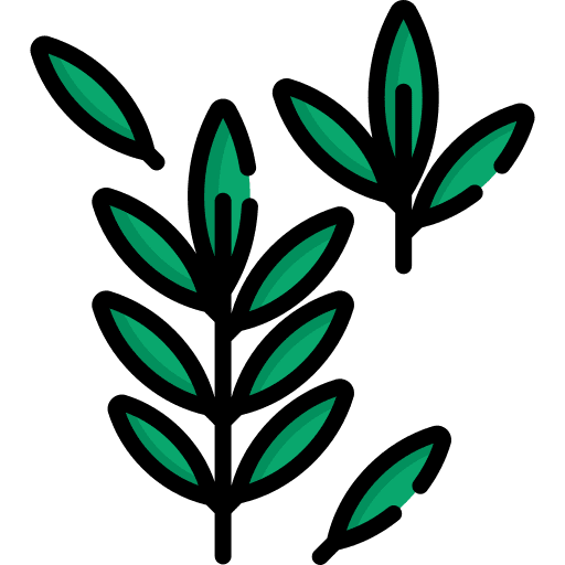 Green tea aroma sprout properties icon Green tea aroma sprout properties icon