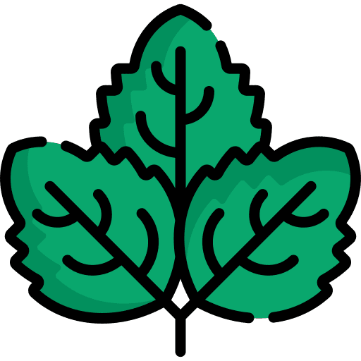 Mint botanical plant nature icon Mint botanical plant nature icon