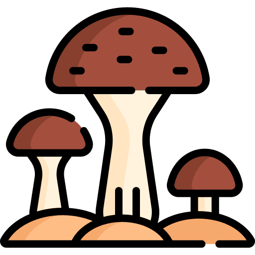 Mushroom organic mushroom vegan icon Mushroom organic mushroom vegan icon