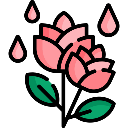 Rose botanical plant flower icon Rose botanical plant flower icon