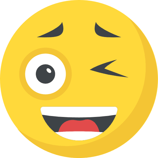 Wink wink feelings smileys icon