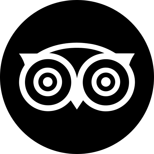 Social social tripadvisor logotype icon