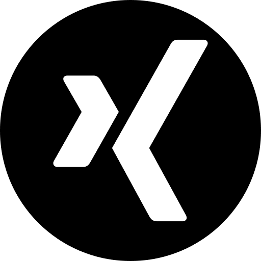 Social logotype xing social network icon