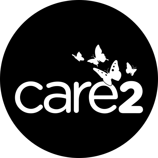 Social symbol symbols logos icon