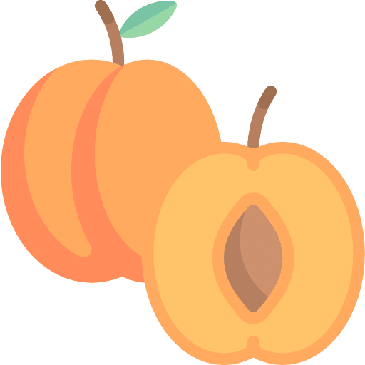 Apricot diet healthy food organic icon