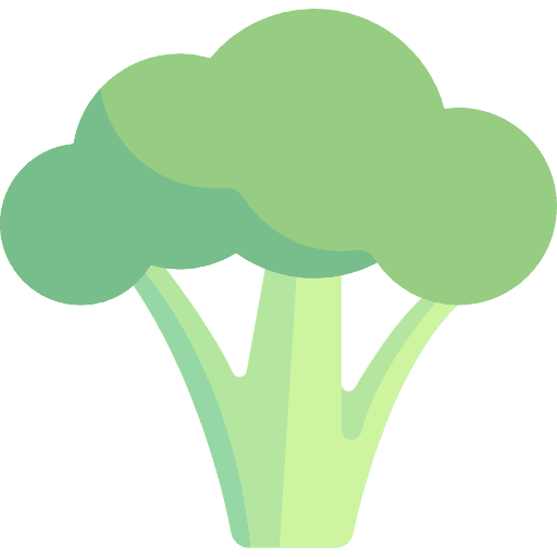 Broccoli healthy food vegan supermarket icon