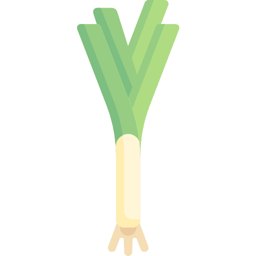 Leek food and restaurant healthy food food icon