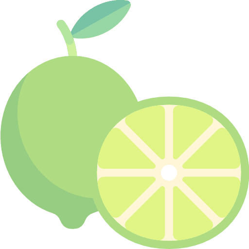Lime food organic diet icon