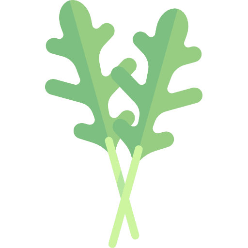 Arugula vegan vegetable diet icon