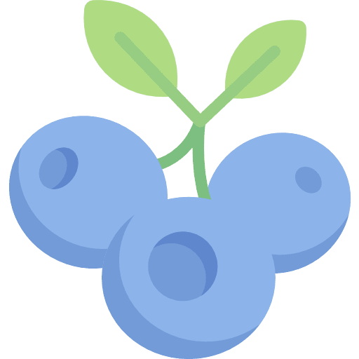 Blueberry blueberry healthy blueberries icon