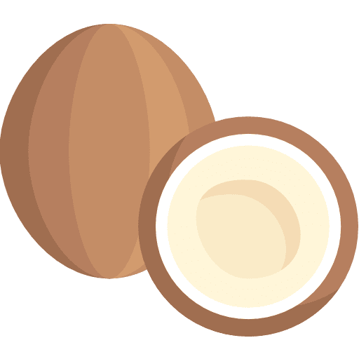 Coconut fruit healthy food food icon