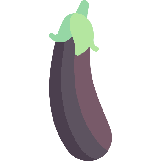 Eggplant organic eggplant aubergine icon