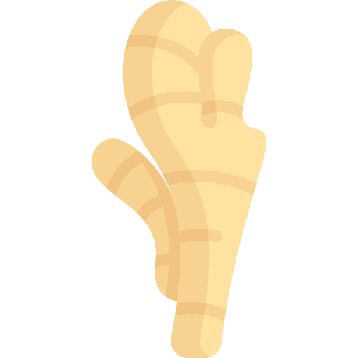 Ginger properties healthy turmeric icon