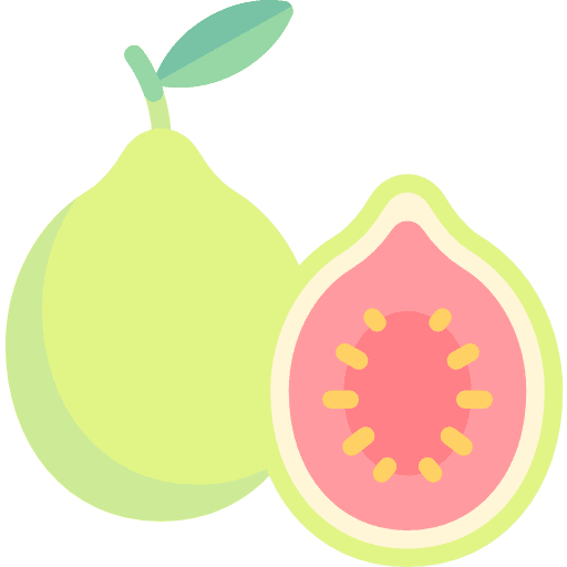Guava food diet food and restaurant icon
