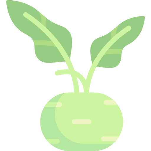 Kohlrabi food and restaurant kohlrabi vegetable icon
