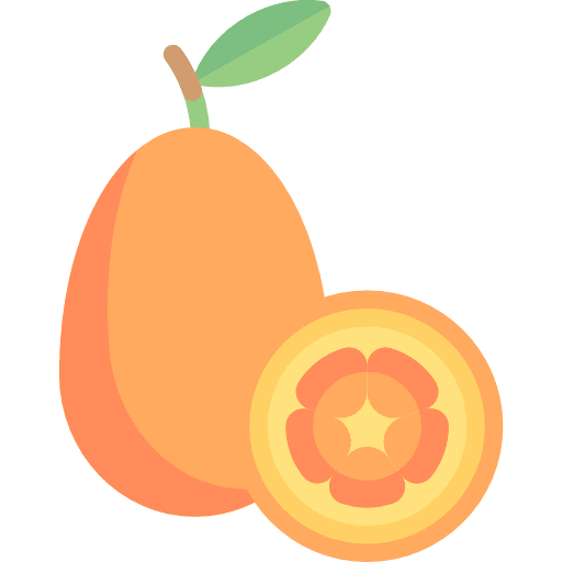 Kumquat bouquet food and restaurant citrus icon