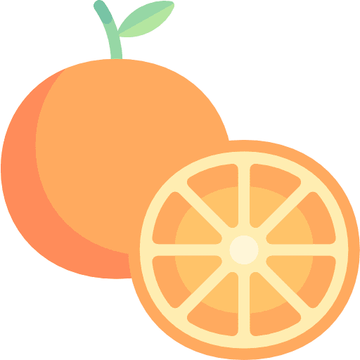 Orange organic diet fruit icon