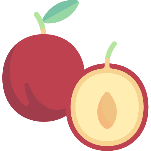 Plum food and restaurant vegan vegetarian icon