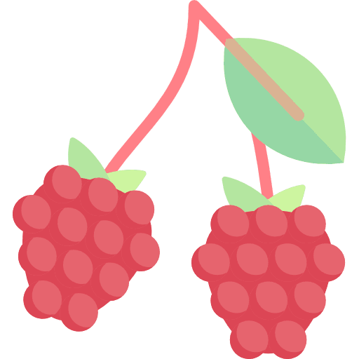 Raspberry raspberry vegetable food and restaurant icon