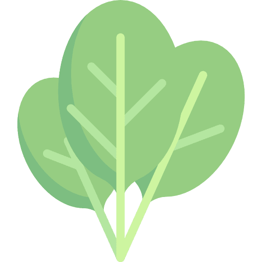 Spinach vegan healthy food spinach icon