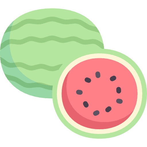 Watermelon food and restaurant organic food icon