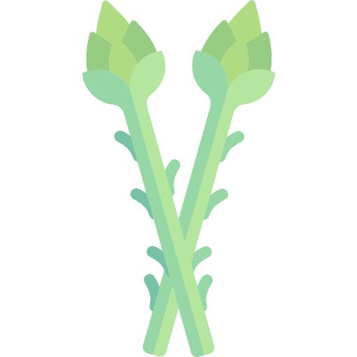 Asparagus food vegetarian cook icon