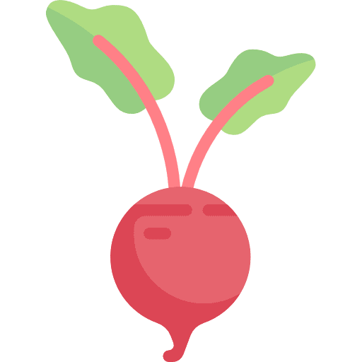 Beet vegetarian organic vegetables icon