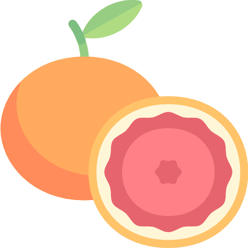 Grapefruit organic fruit food icon