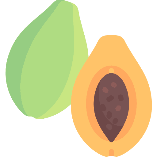 Papaya vegetarian vegan food icon
