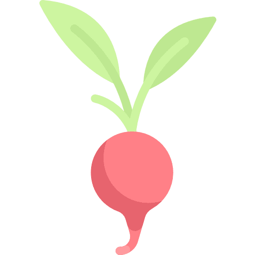 Radish organic healthy food vegetarian icon